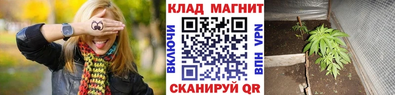 Где купить наркоту Болотное COCAIN Меф МЕТАМФЕТАМИН Конопля Амфетамин
