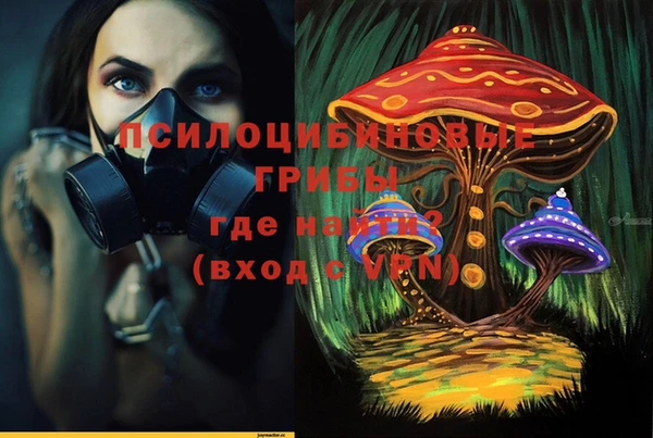 амф Дмитровск
