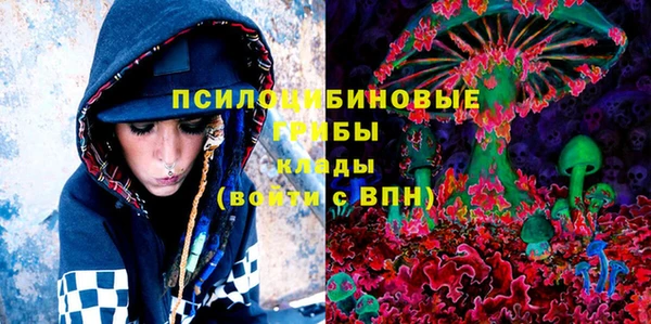 амф Дмитровск